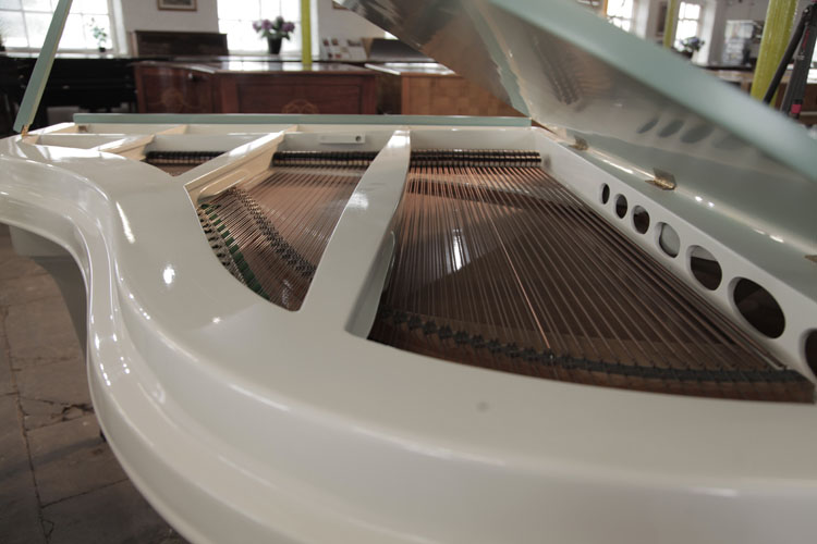 Rippen  instrument