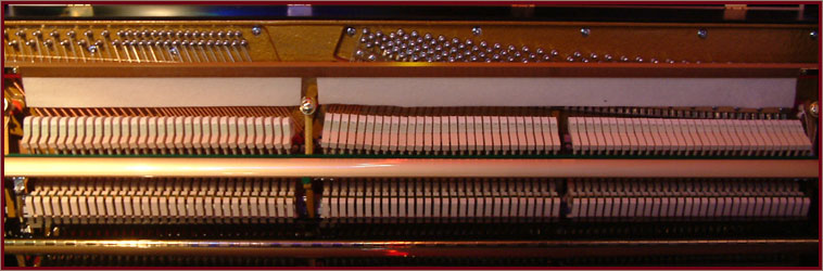 Halle & Voight Upright Piano