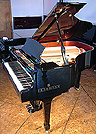 Brodmann 168 Grand Piano