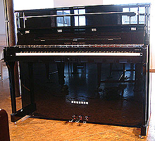 New Wilh Steinberg Upright Piano