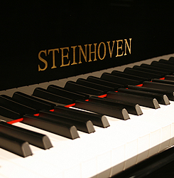Steinhoven  Model 148 manufacturers logo on fall