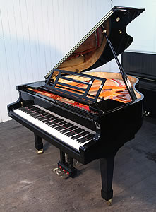 Feurich Model 161 Baby Grand Piano