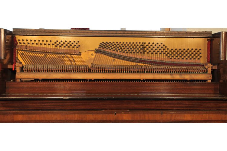 Waldberg instrument