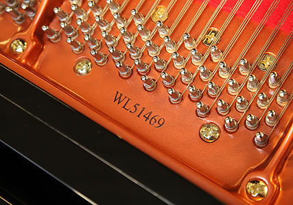 Wendl and Lung Model 178 piano serial number.