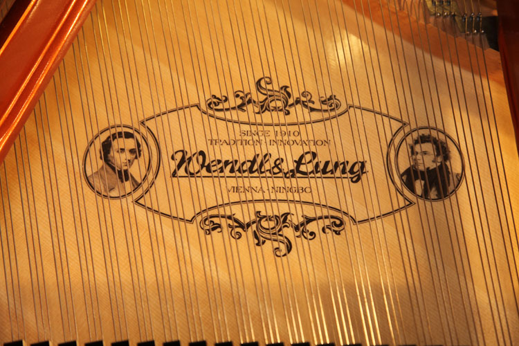 Wendl and Lung manufacturers decal on soundboard