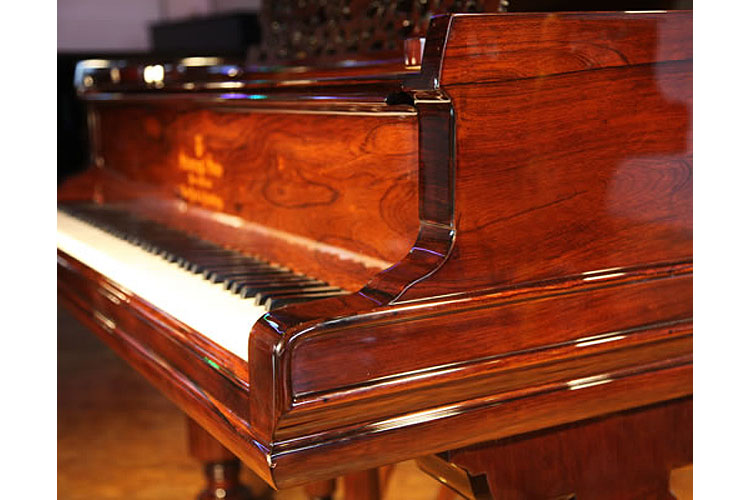 Steinway piano cheek detail