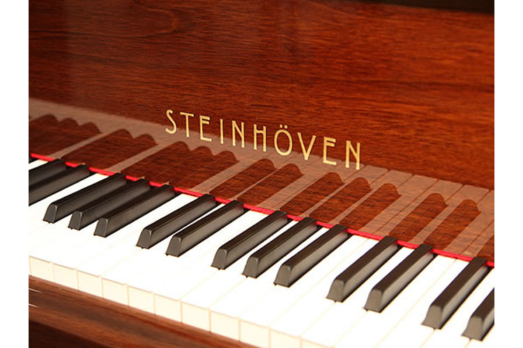 Steinhoven Model 160  manufacturers name on fall