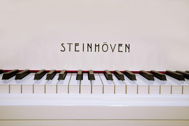 Steinhoven Model 148  manufacturers name on fall