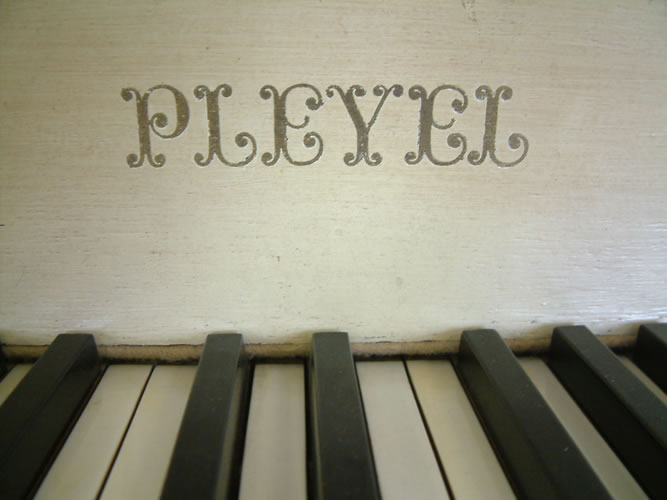 Pleyel manufacturers name on fall