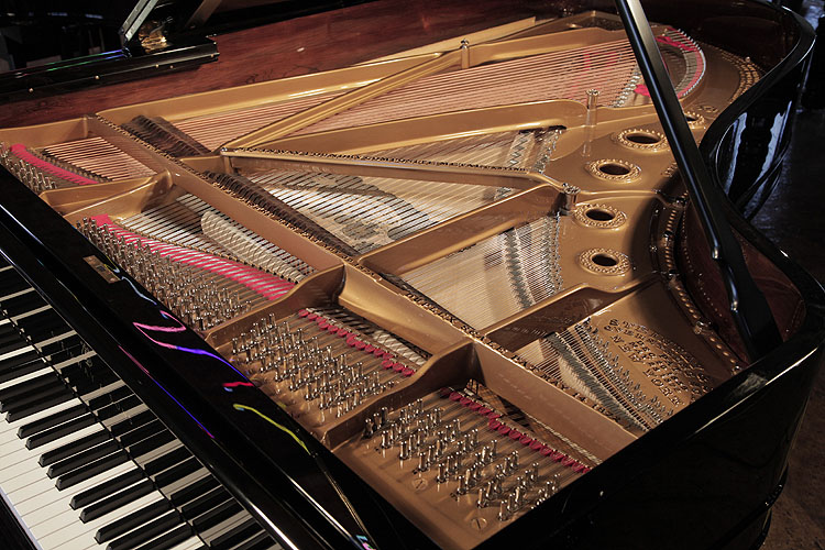 Steinway Model B restored instrument. We are looking for Steinway pianos any age or condition.
