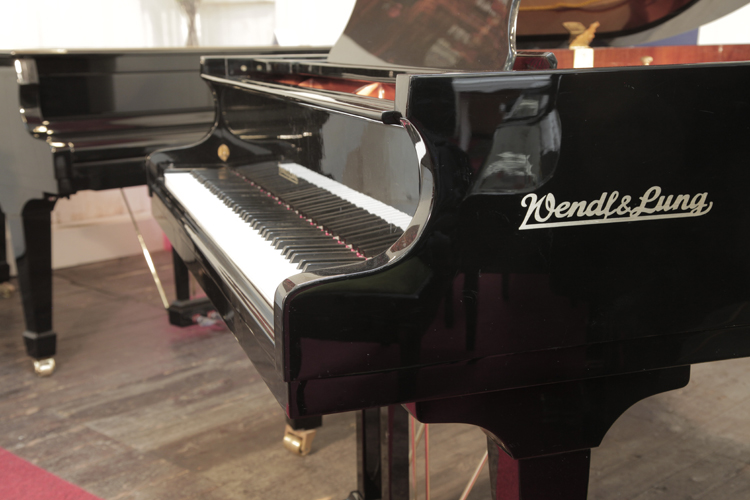 Wendl and Lung Model 161  piano cheek