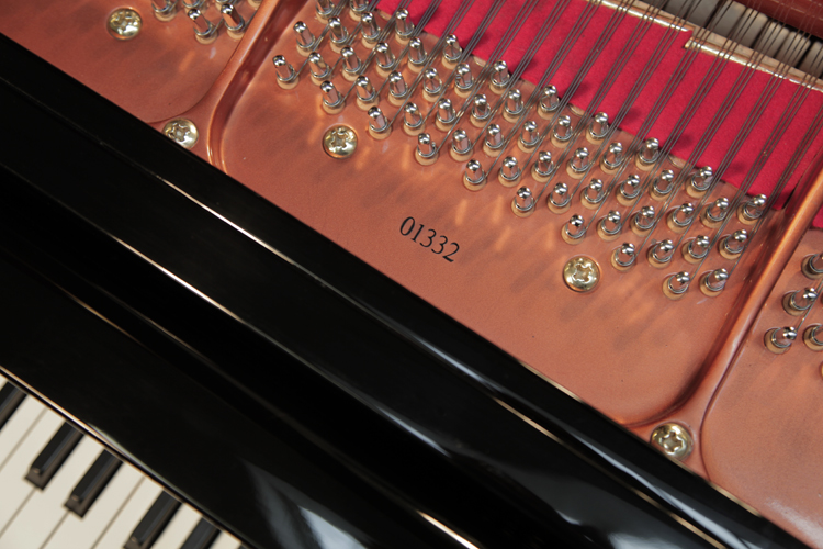 Wendl and Lung Model 161  piano serial number.