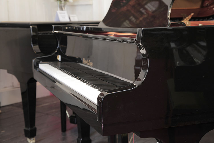 Wendl and Lung Model 178  piano cheek detail