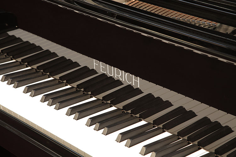 Feurich with adjustable LED strip light Grand Piano for sale. We are looking for Steinway pianos any age or condition.