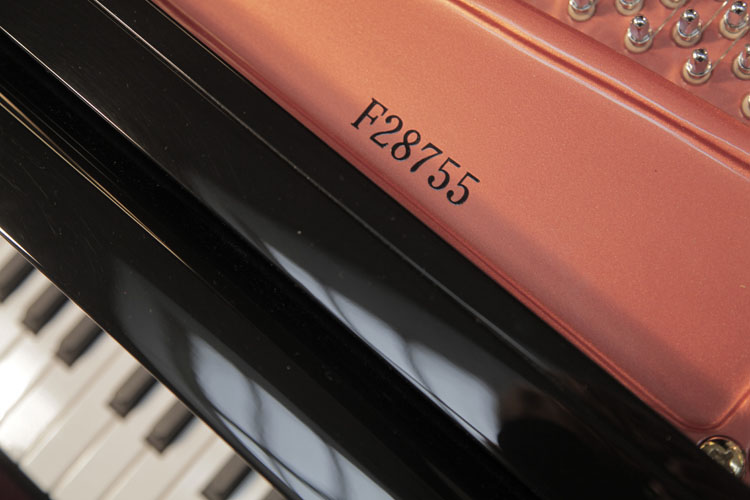 Feurich piano serial number
