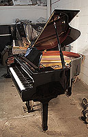 A  Hamlyn Klein CS-142 baby grand piano with a black case and spade legs