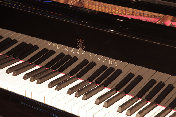 Steinway  Model M  manufacturers name on fall