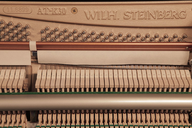 Brand New Steinberg AT-K30 piano serial number