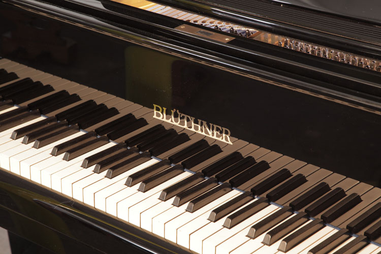 Bluthner piano manufacturers logo on fall