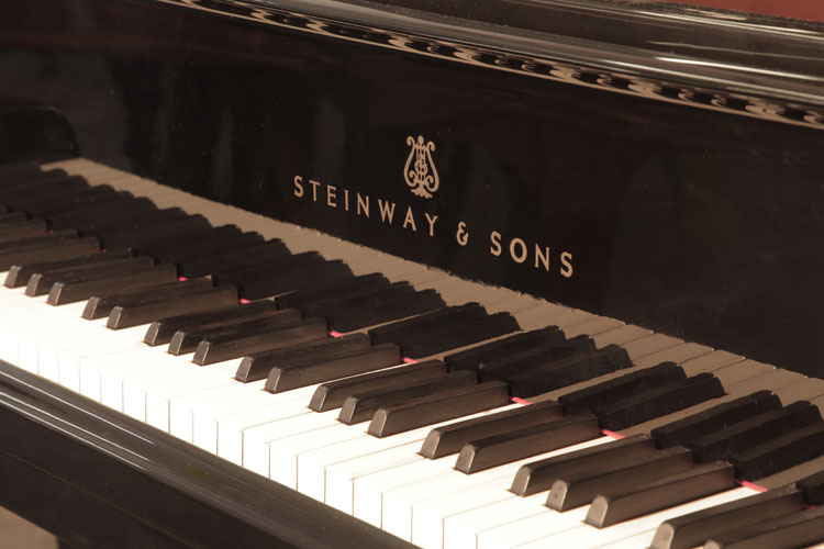   Steinway  Model B  piano manufacturers logo on fall