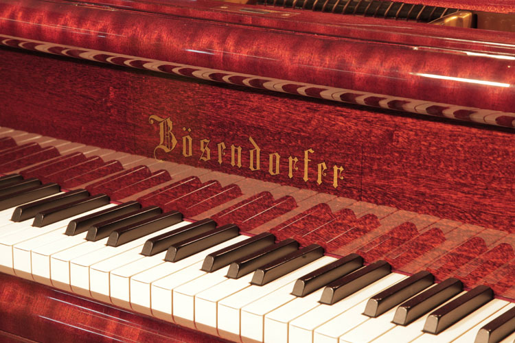 Bosendorfer piano manufacturers logo on fall