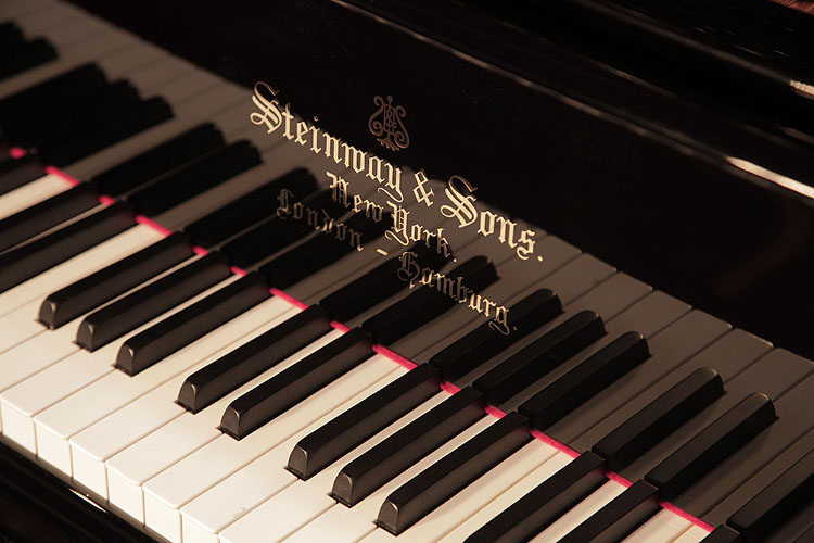 Steinway Model A piano manufacturers logo on fall. We are looking for Steinway pianos any age or condition.