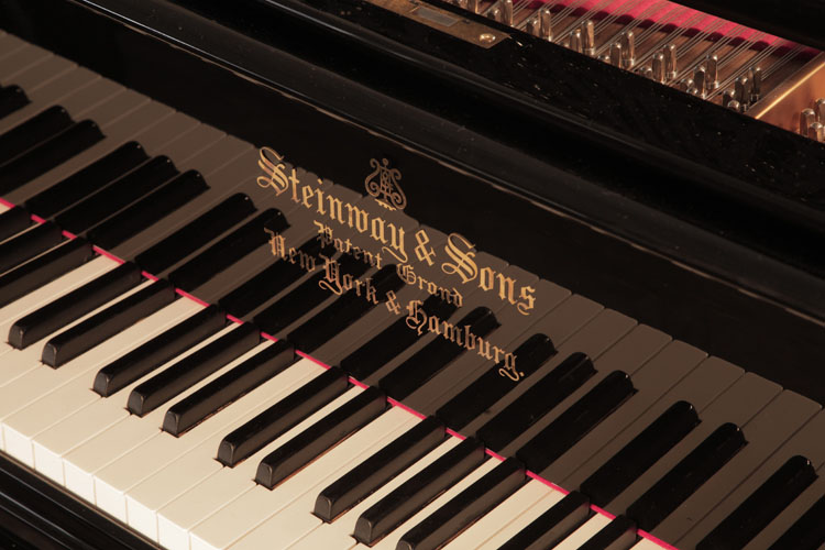   Steinway  Model B  piano manufacturers logo on fall