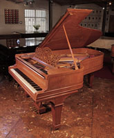 Reconditioned,  1900, Steinway Model B grand piano for sale with a satinwood case and spade legs. Entire cabinet inlaid with boxwood stringing accents