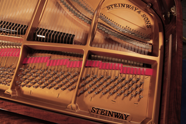 Steinway rebuilt instrument. We are looking for Steinway pianos any age or condition.
