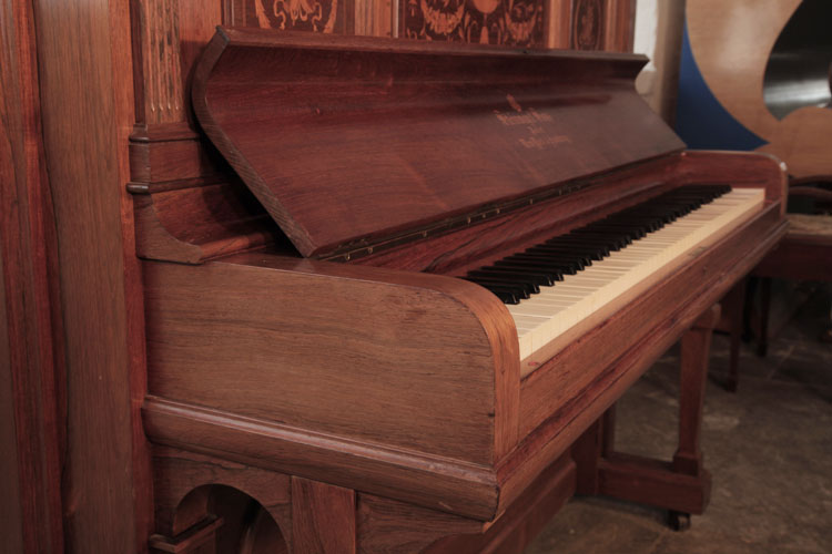 Steinway  piano cheek detail  