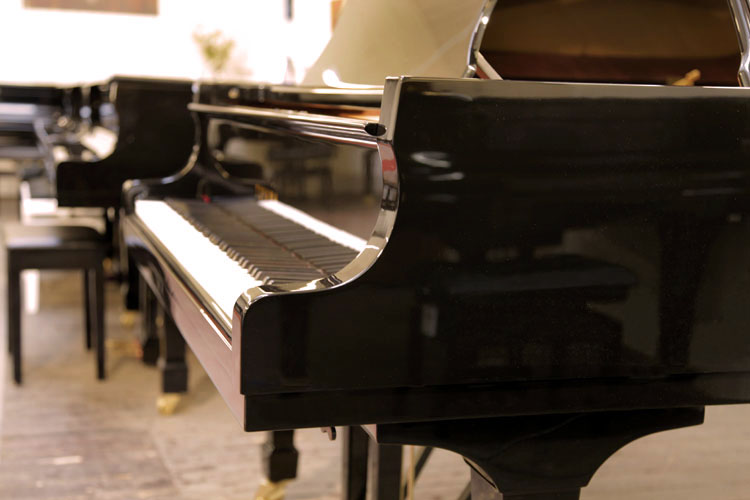 Toyama TC-187  piano cheek