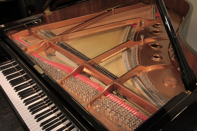 Toyama TC-187 brand new  instrument