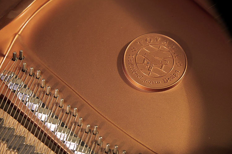 Toyama stamp on frame