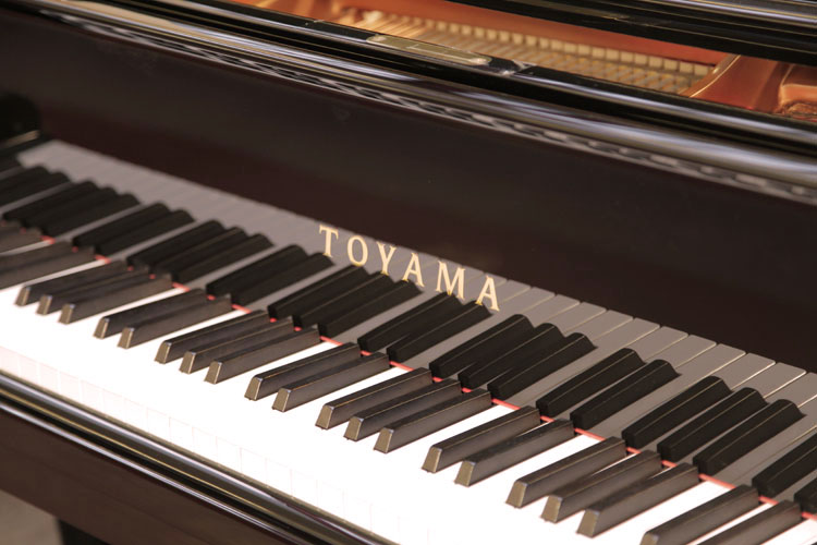 Toyama manufacturers name on fall