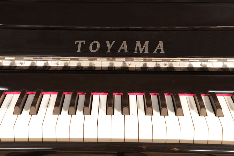  Toyama manufacturers logo on fall