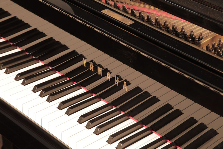 Yamaha G5 piano manufacturers logo on fall