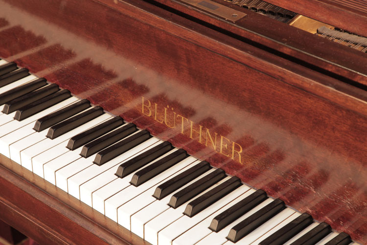 Bluthner piano manufacturer's logo on fall