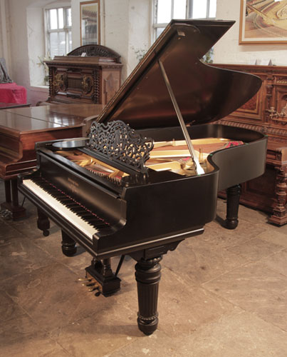 Reconditioned, 1900, Steinway Model B grand piano with a satin, black case  and fluted, barrel legs
