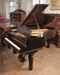 Reconditioned,  1900, Steinway Model B grand piano with a satin, black case and fluted, barrel legs. Piano has a three-pedal lyre and an eighty-eight note keyboard. 