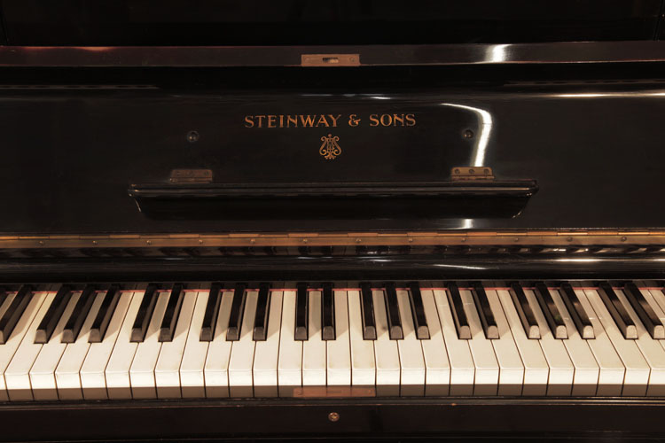 Steinway  manufacturers logo on fall