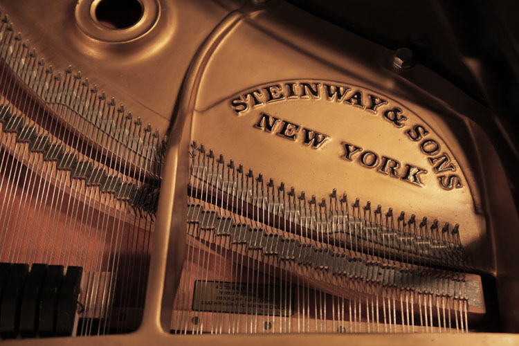 Steinway manufacturer's name on frame. We are looking for Steinway pianos any age or condition.