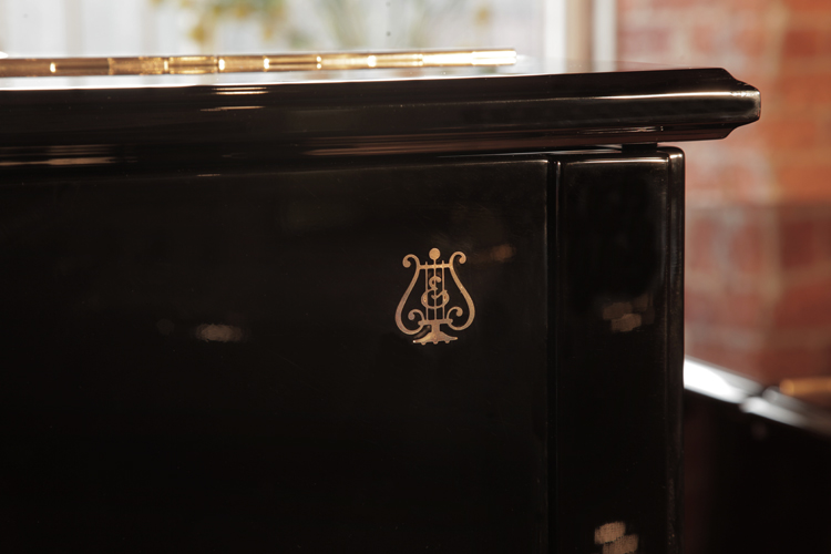 Steinway insignia on cabinet