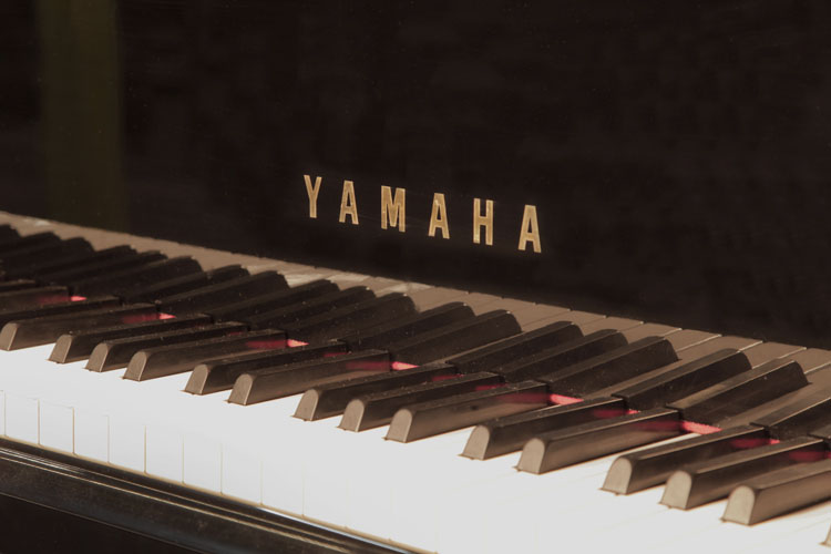 Yamaha G2 manufacturers name on fall