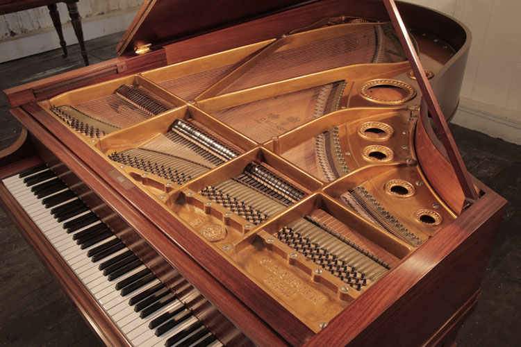 Bechstein  instrument