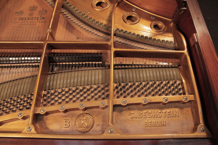 Bechstein  instrument