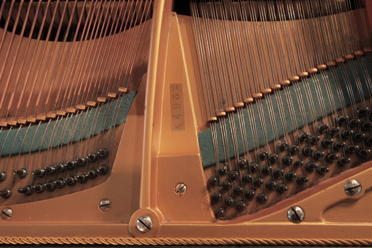 Bechstein serial number