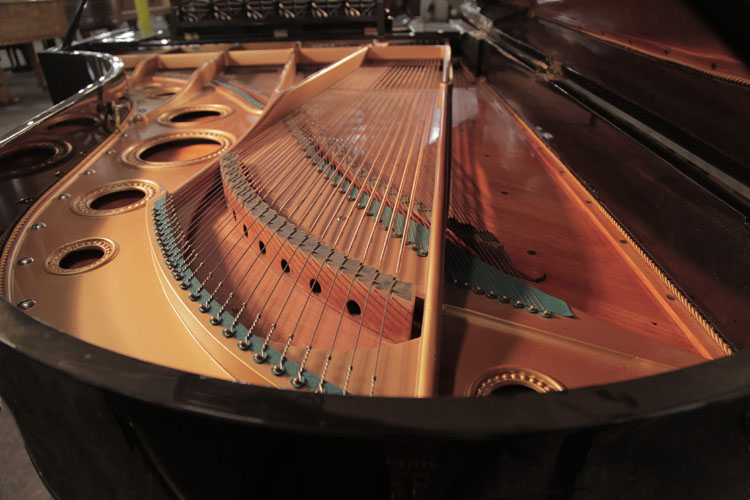 Bechstein instrument