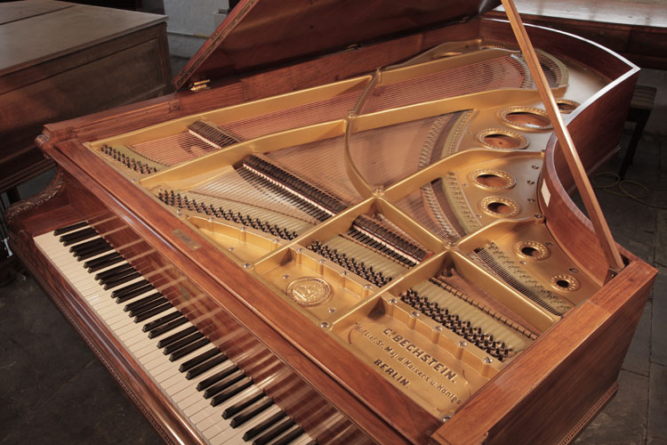 Bechstein  instrument