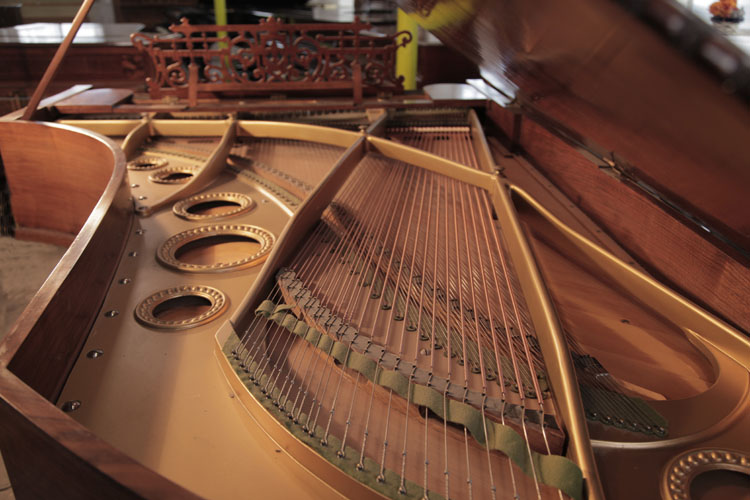 Bechstein instrument