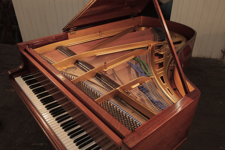 Bluthner  instrument